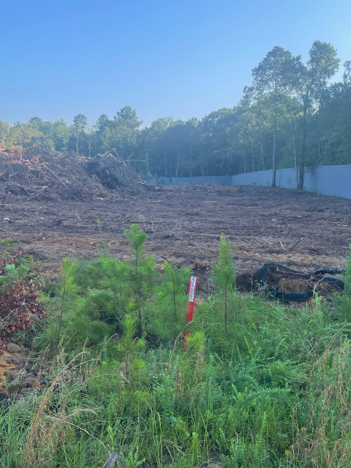 Timber cleared at the Minder - Phase&nbsp;1 site, early July 2026
